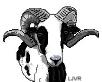 Click Here for Painted Desert Sheep Clipart